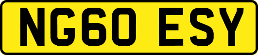 NG60ESY
