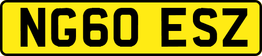 NG60ESZ