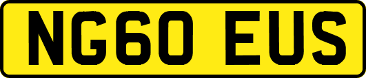NG60EUS