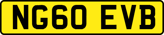 NG60EVB