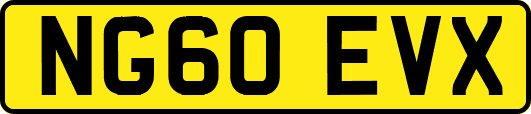 NG60EVX