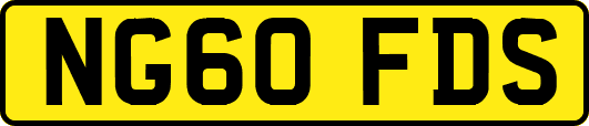 NG60FDS
