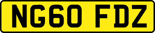 NG60FDZ