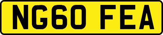 NG60FEA