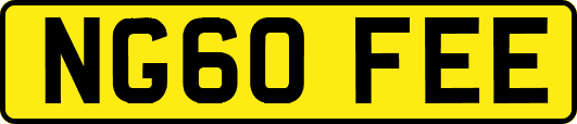 NG60FEE