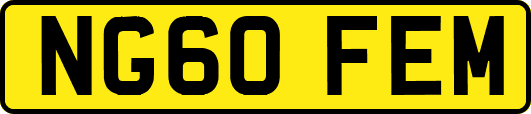 NG60FEM