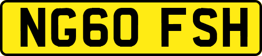 NG60FSH