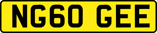 NG60GEE