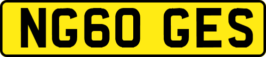 NG60GES