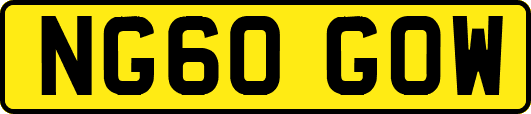 NG60GOW