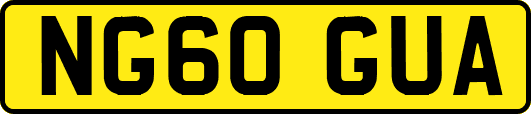 NG60GUA
