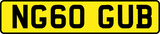 NG60GUB