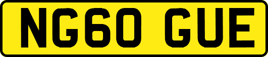 NG60GUE