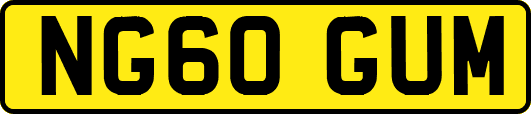 NG60GUM