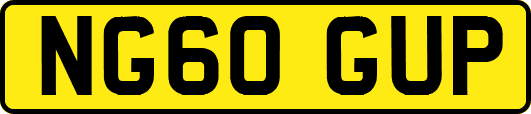 NG60GUP