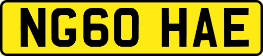 NG60HAE
