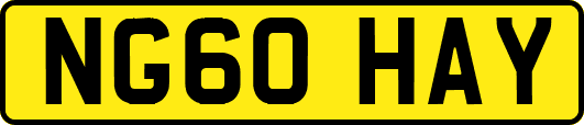NG60HAY
