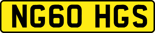 NG60HGS