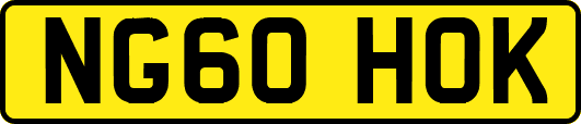 NG60HOK