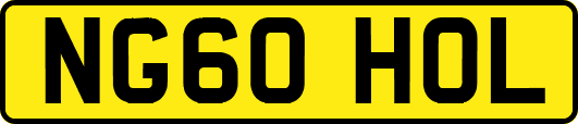 NG60HOL