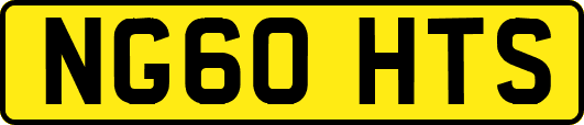 NG60HTS