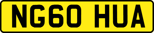 NG60HUA