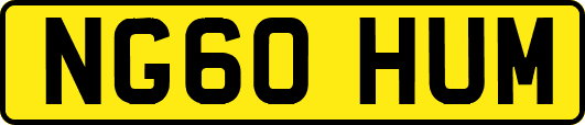 NG60HUM