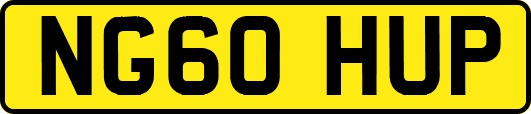 NG60HUP
