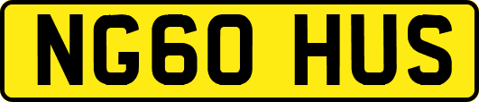 NG60HUS