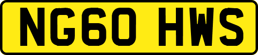 NG60HWS