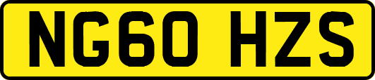 NG60HZS