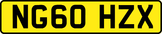 NG60HZX