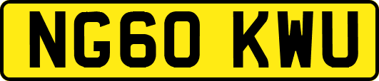 NG60KWU