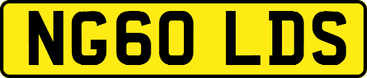 NG60LDS