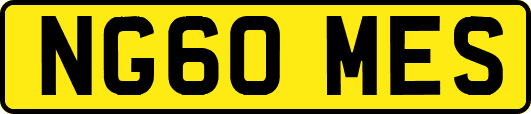 NG60MES