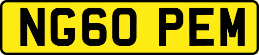 NG60PEM