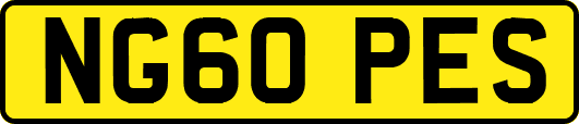 NG60PES