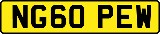 NG60PEW