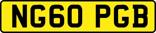 NG60PGB
