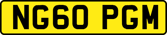 NG60PGM