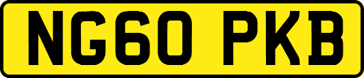 NG60PKB
