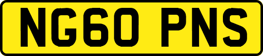 NG60PNS