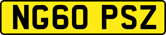 NG60PSZ