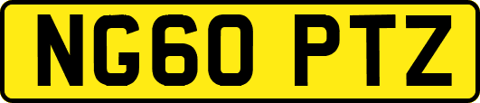 NG60PTZ