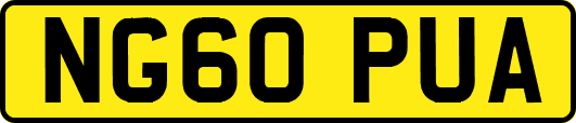 NG60PUA
