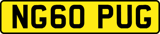 NG60PUG
