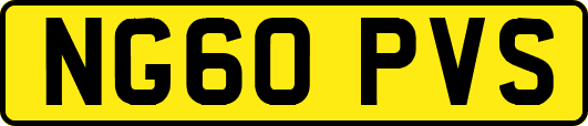 NG60PVS