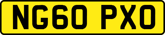 NG60PXO