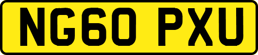 NG60PXU
