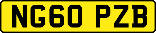 NG60PZB